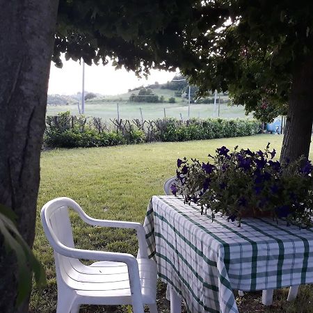 Gavi/Alice Open Space B&B 외부 사진