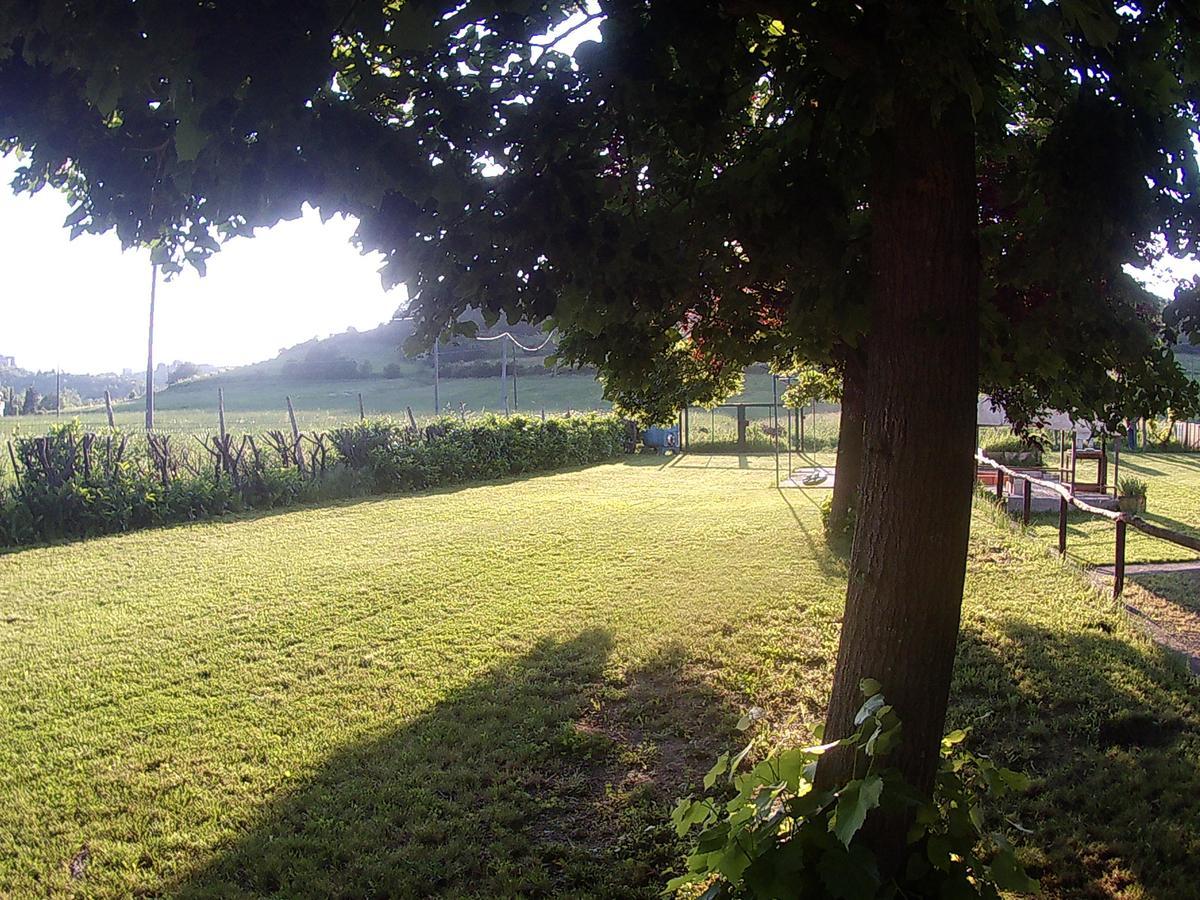 Gavi/Alice Open Space B&B 외부 사진