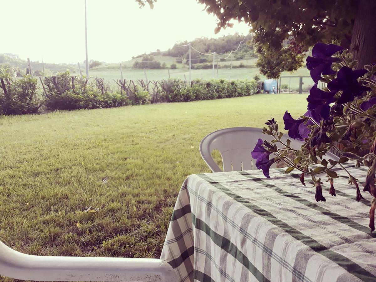 Gavi/Alice Open Space B&B 외부 사진