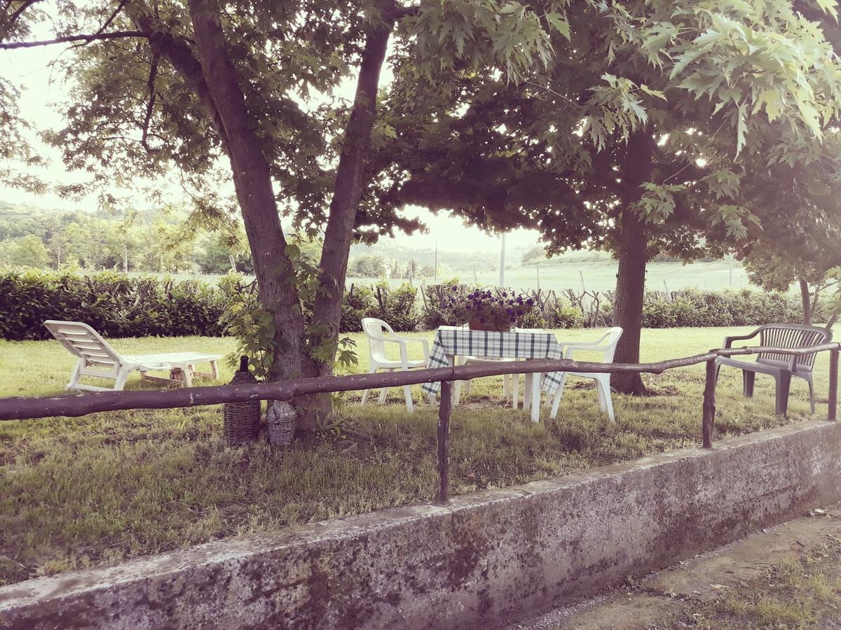 Gavi/Alice Open Space B&B 외부 사진