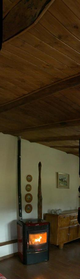 Gavi/Alice Open Space B&B 외부 사진